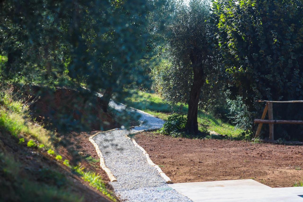 Terra Volonteri Agroturismo