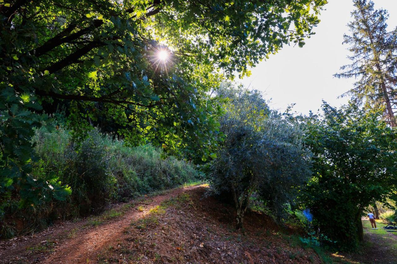 Farm stay Terra Volonteri Montecatini Terme
