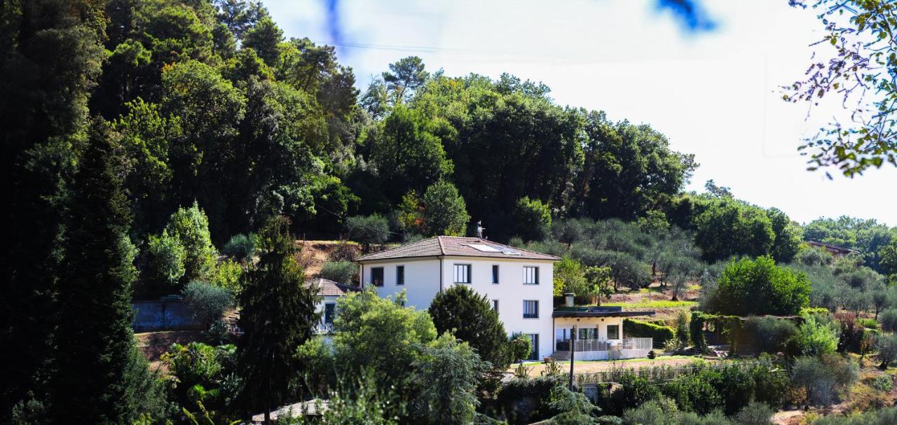 Farm stay Terra Volonteri *