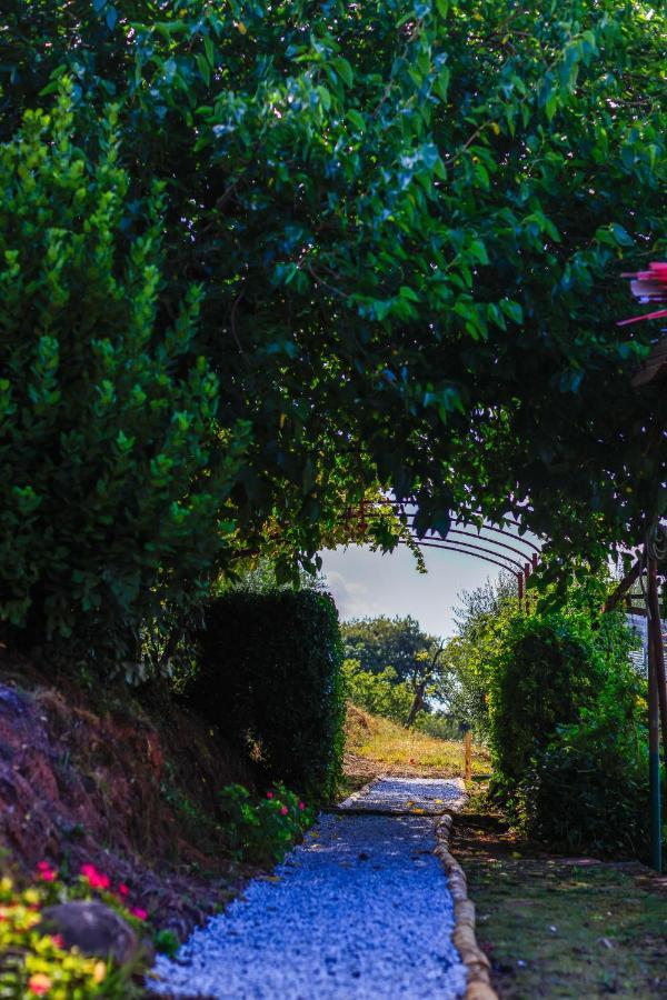 Terra Volonteri Farm stay *