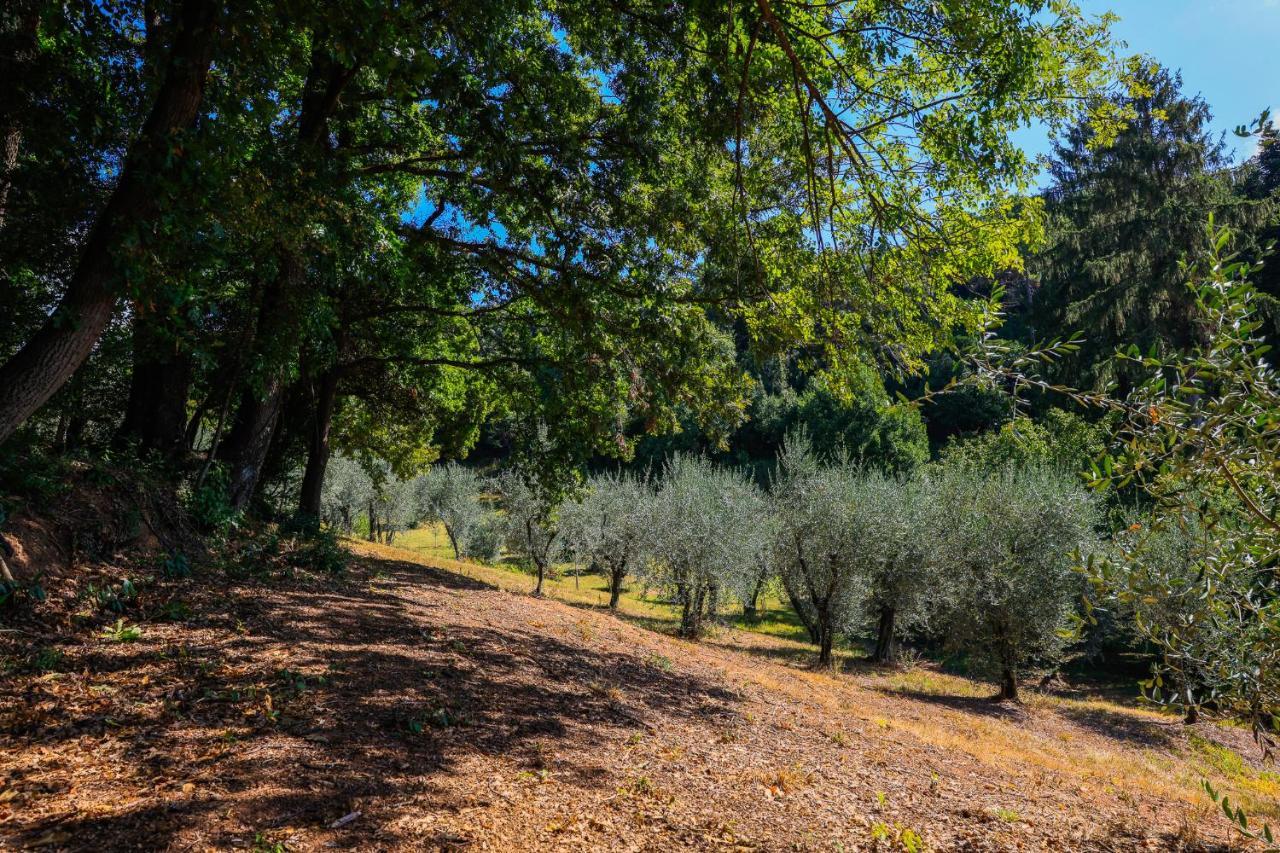 Terra Volonteri Montecatini Terme