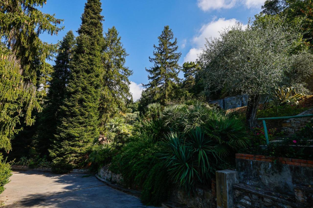 Terra Volonteri Farm stay Montecatini Terme