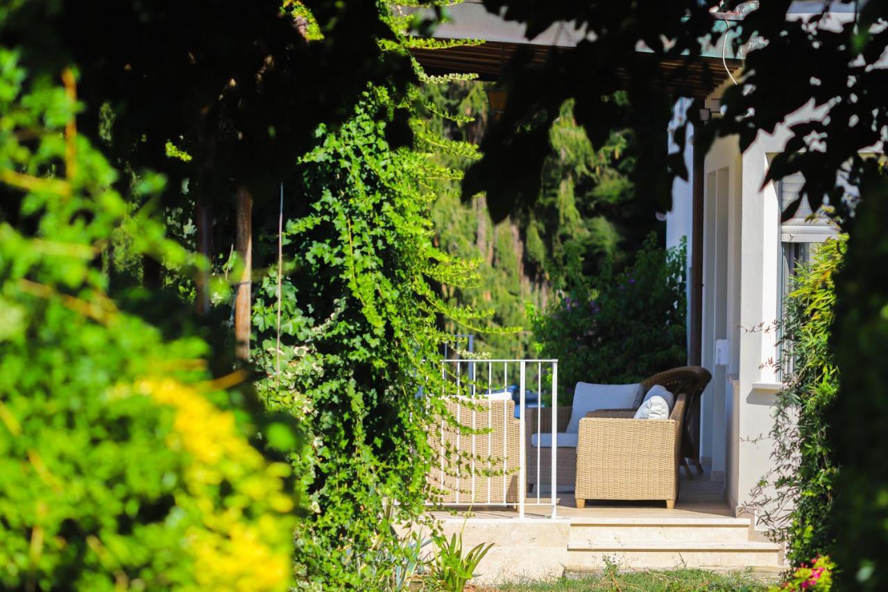 Terra Volonteri Farm stay Montecatini Terme