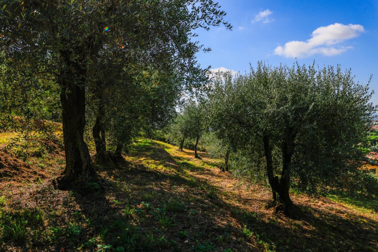 Terra Volonteri Farm stay *