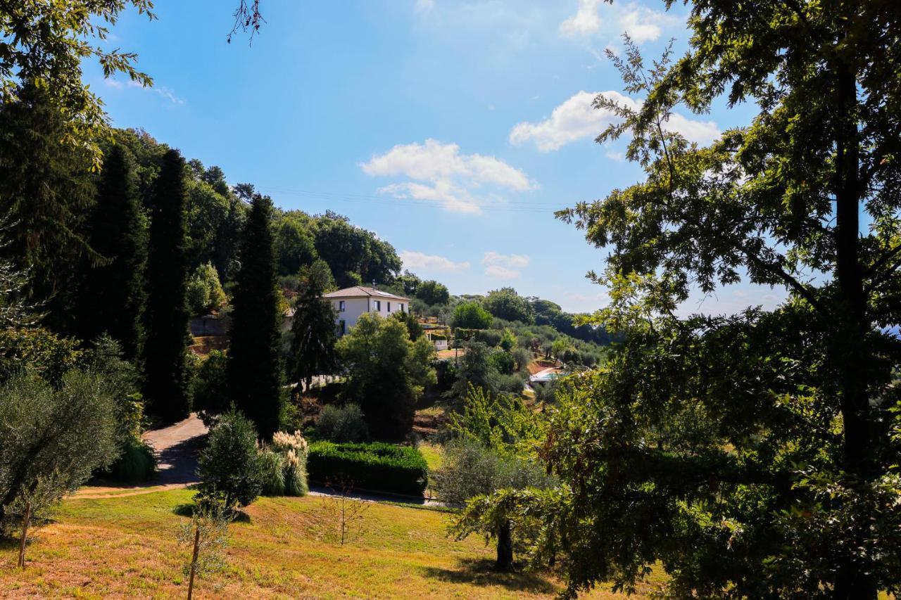 Terra Volonteri * Montecatini Terme